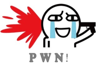 This is how “pwn” looks like